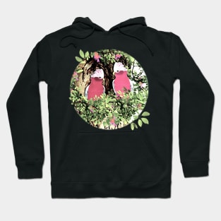 Parrots. Nesting Galah Parrots Hoodie